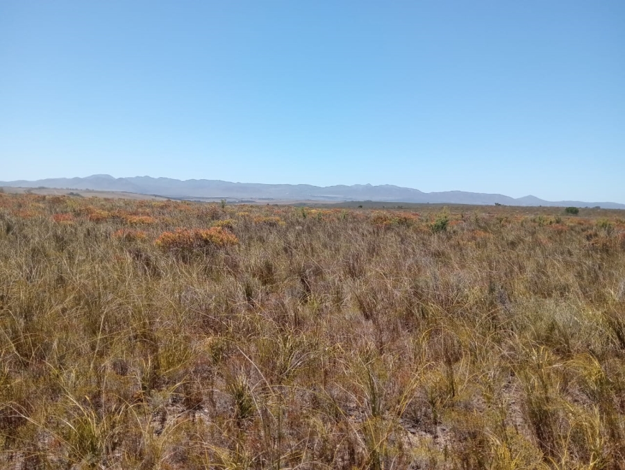 Commercial Property for Sale in Humansdorp Rural Eastern Cape